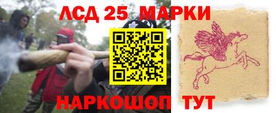 крисы Ливны