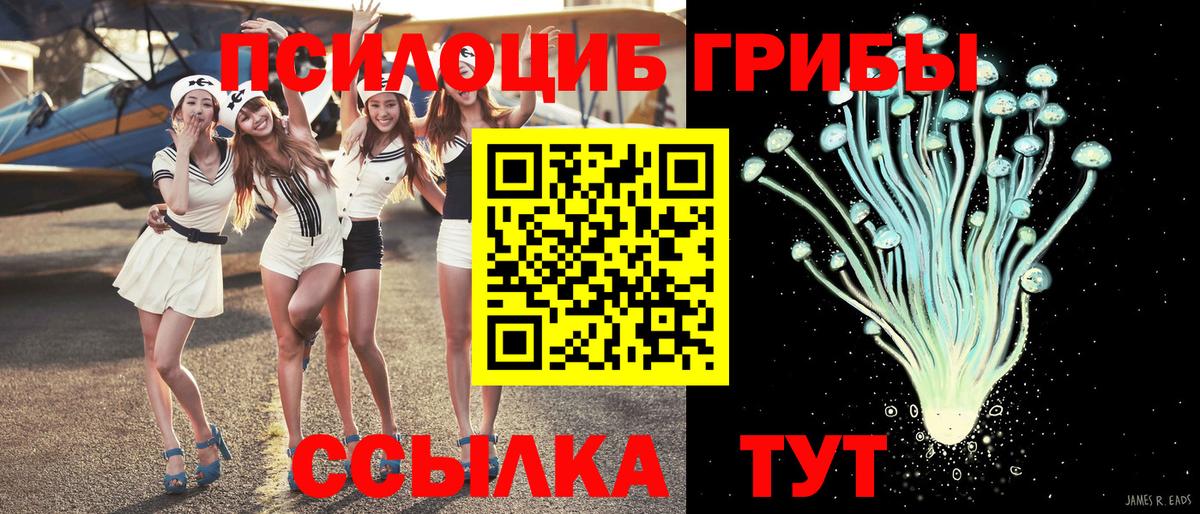 Сызрань  Галлюциногенные грибы MAGIC MUSHROOMS  купить наркотик  Псилоцибиновые грибы GOLDEN TEACHER  Вход с VPN 