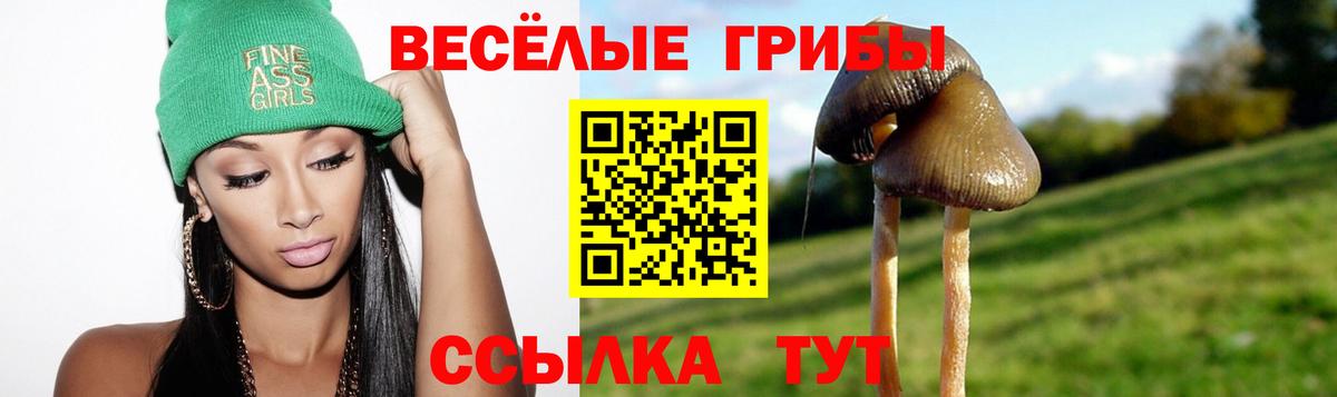 Псилоцибиновые грибы Psilocybine cubensis Сызрань
