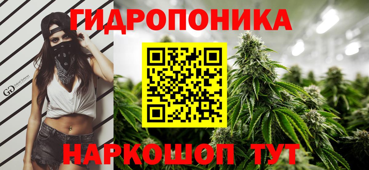 Сызрань  Бошки Шишки тримм  Вход с VPN  Бошки марихуана индика  Шишки марихуана Amnesia  Канабис Amnesia 